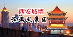 老师的小淫穴中国陕西-西安城墙旅游风景区